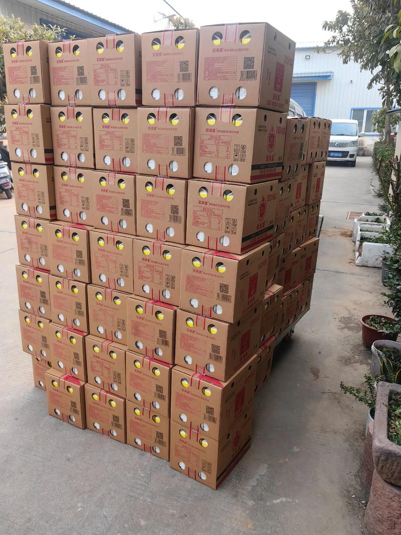 深圳批发贸易现状与发展机遇